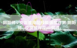 阴阳师SP夜溟彼岸花技能强度评测(阴阳师sp夜溟彼岸花pve御魂)