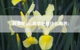 脱单吧app(脱单吧是什么意思)