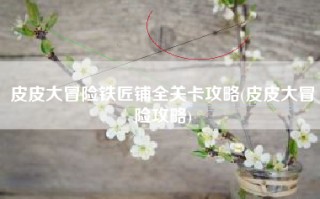 皮皮大冒险铁匠铺全关卡攻略(皮皮大冒险攻略)