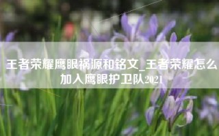 王者荣耀鹰眼祸源和铭文_王者荣耀怎么加入鹰眼护卫队2021