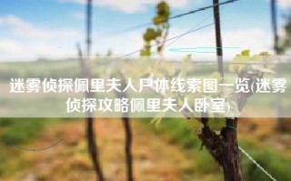 迷雾侦探佩里夫人尸体线索图一览(迷雾侦探攻略佩里夫人卧室)