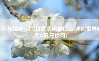 迷你世界8月11日激活码是什么(迷你世界8月17日兑换码)
