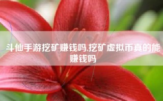 斗仙手游挖矿赚钱吗,挖矿虚拟币真的能赚钱吗