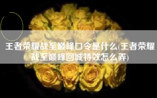 王者荣耀战至巅峰口令是什么(王者荣耀战至巅峰回城特效怎么弄)