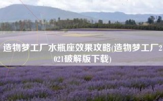 造物梦工厂水瓶座效果攻略(造物梦工厂2021破解版下载)