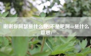 谢谢你阿瑟是什么梗(不是吧阿sir是什么意思)