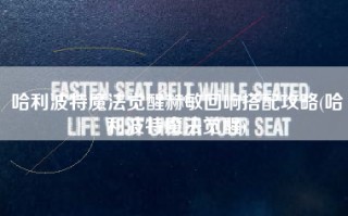哈利波特魔法觉醒赫敏回响搭配攻略(哈利波特魔法觉醒)