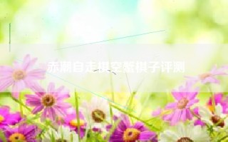 赤潮自走棋空蟹棋子评测