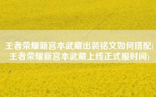 王者荣耀新宫本武藏出装铭文如何搭配(王者荣耀新宫本武藏上线正式服时间)