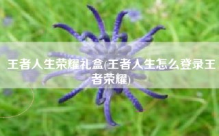 王者人生荣耀礼盒(王者人生怎么登录王者荣耀)
