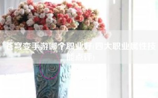 苍穹变手游哪个职业好(四大职业属性技能点评)