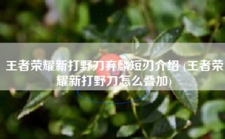 王者荣耀新打野刀弃麟短刃介绍 (王者荣耀新打野刀怎么叠加)