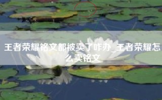 王者荣耀铭文都被卖了咋办_王者荣耀怎么卖铭文