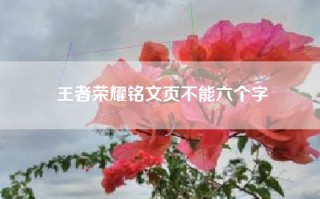 王者荣耀铭文页不能六个字