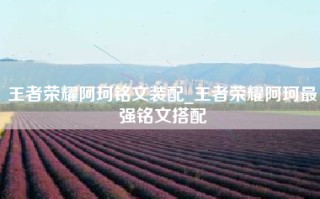 王者荣耀阿珂铭文装配_王者荣耀阿珂最强铭文搭配