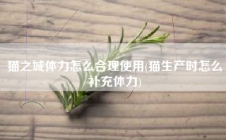 猫之城体力怎么合理使用(猫生产时怎么补充体力)