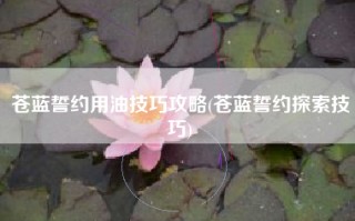 苍蓝誓约用油技巧攻略(苍蓝誓约探索技巧)