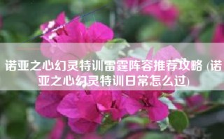 诺亚之心幻灵特训雷霆阵容推荐攻略 (诺亚之心幻灵特训日常怎么过)