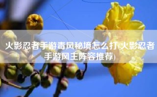 火影忍者手游毒风秘境怎么打(火影忍者手游风主阵容推荐)