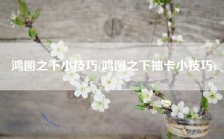 鸿图之下小技巧(鸿图之下抽卡小技巧)