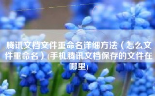 腾讯文档文件重命名详细方法（怎么文件重命名）(手机腾讯文档保存的文件在哪里)