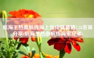 航海王热血航线海上伙伴猜猜猜7.28答案分享(航海王热血航线海军兄弟)