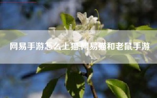 网易手游怎么上猫,网易猫和老鼠手游