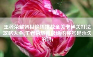 王者荣耀智极绝悟挑战全关卡通关打法攻略大全(王者荣耀智极绝悟称号是永久的吗)