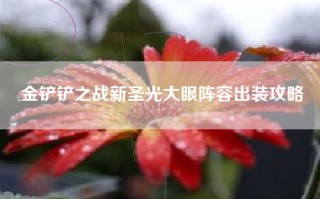 金铲铲之战新圣光大眼阵容出装攻略