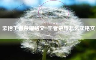 蒙括王者荣耀铭文_王者荣耀怎么卖铭文