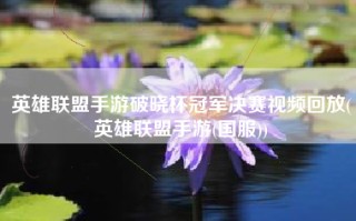 英雄联盟手游破晓杯冠军决赛视频回放(英雄联盟手游(国服))