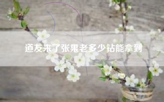 道友来了张果老多少钻能拿到