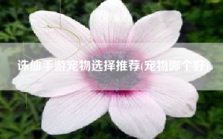 诛仙手游宠物选择推荐(宠物哪个好)