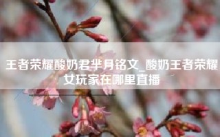 王者荣耀酸奶君芈月铭文_酸奶王者荣耀女玩家在哪里直播