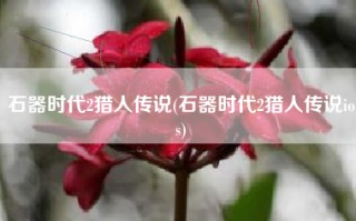 石器时代2猎人传说(石器时代2猎人传说ios)