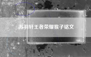 苏羽轩王者荣耀猴子铭文