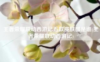 王者荣耀联动西游记五款皮肤都是谁(王者荣耀联动西游记)