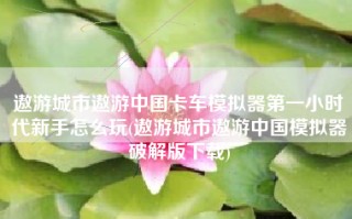 遨游城市遨游中国卡车模拟器第一小时代新手怎么玩(遨游城市遨游中国模拟器破解版下载)