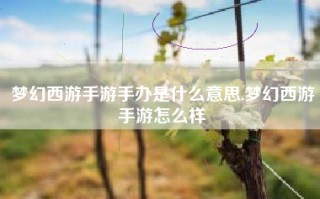 梦幻西游手游手办是什么意思,梦幻西游手游怎么样