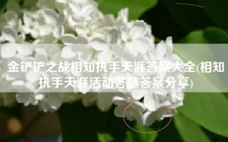 金铲铲之战相知执手天涯答案大全(相知执手天涯活动答题答案分享)