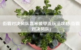 街霸对决风队嘉米破甲流玩法攻略(街霸对决风队)