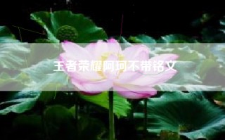 王者荣耀阿珂不带铭文