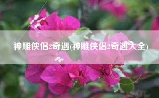 神雕侠侣2奇遇(神雕侠侣2奇遇大全)