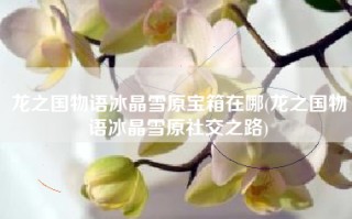 龙之国物语冰晶雪原宝箱在哪(龙之国物语冰晶雪原社交之路)
