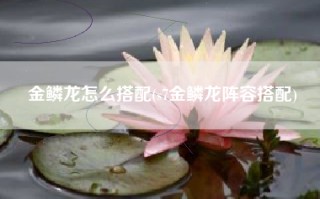 金鳞龙怎么搭配(s7金鳞龙阵容搭配)