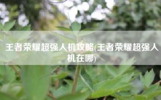 王者荣耀超强人机攻略(王者荣耀超强人机在哪)