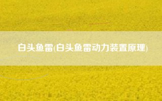 白头鱼雷(白头鱼雷动力装置原理)