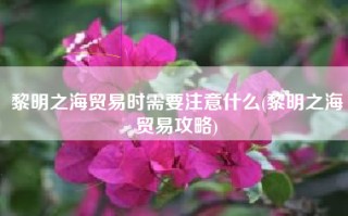 黎明之海贸易时需要注意什么(黎明之海贸易攻略)