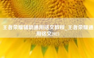 王者荣耀辅助通用铭文教程_王者荣耀通用铭文2021
