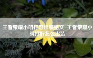王者荣耀小明打野出装铭文_王者荣耀小明打野怎么出装